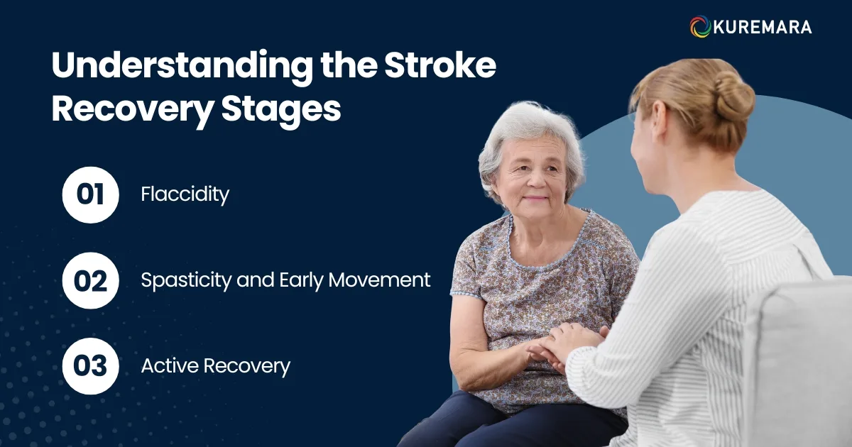 Understanding the Stroke Recovery Stages